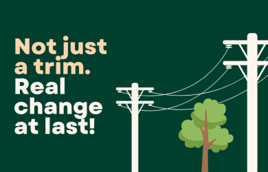 Tree reg changes image