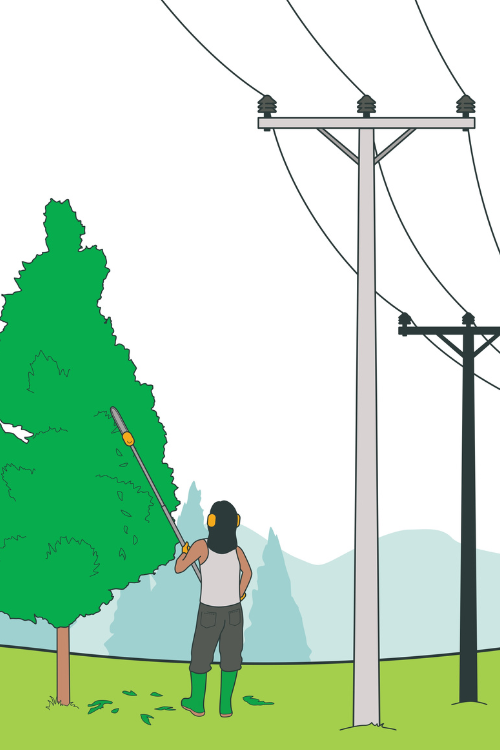 Person trimming tree near power lines