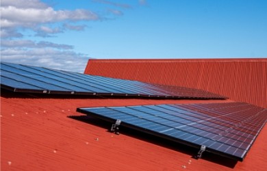 TLC Case Study featured image