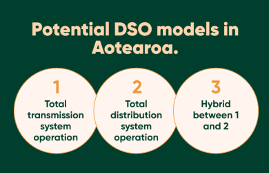 NEWS items for website 2025